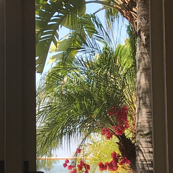 Meet your Posher, Sherry - Picture 1 of 1